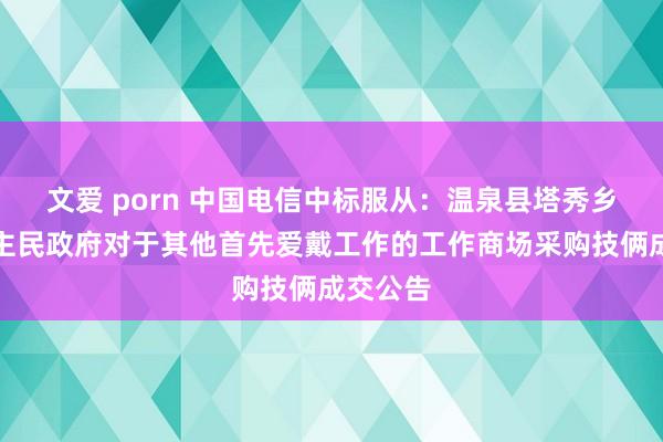 文爱 porn 中国电信中标服从：温泉县塔秀乡东说念主民政府对于其他首先爱戴工作的工作商场采购技俩成交公告