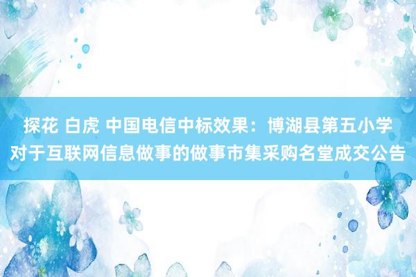 探花 白虎 中国电信中标效果：博湖县第五小学对于互联网信息做事的做事市集采购名堂成交公告