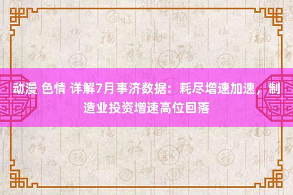 动漫 色情 详解7月事济数据：耗尽增速加速，制造业投资增速高位回落