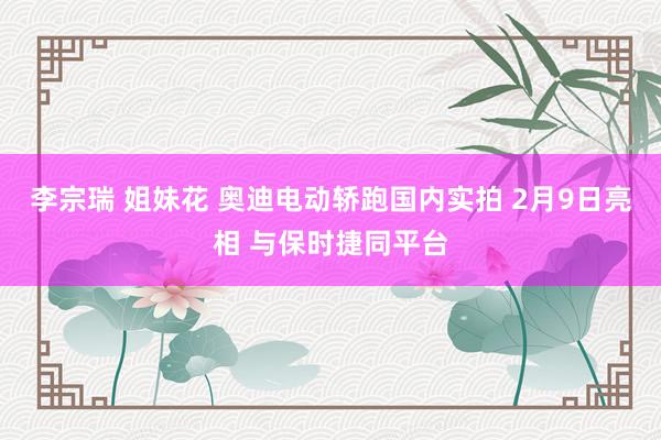 李宗瑞 姐妹花 奥迪电动轿跑国内实拍 2月9日亮相 与保时捷同平台