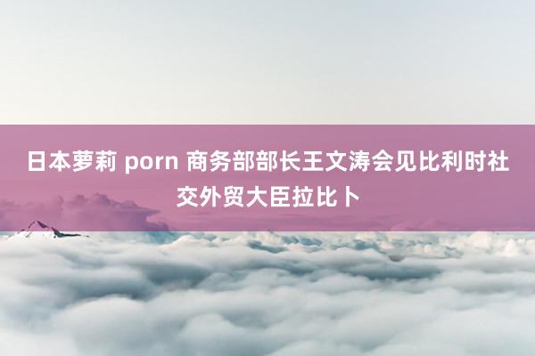 日本萝莉 porn 商务部部长王文涛会见比利时社交外贸大臣拉比卜