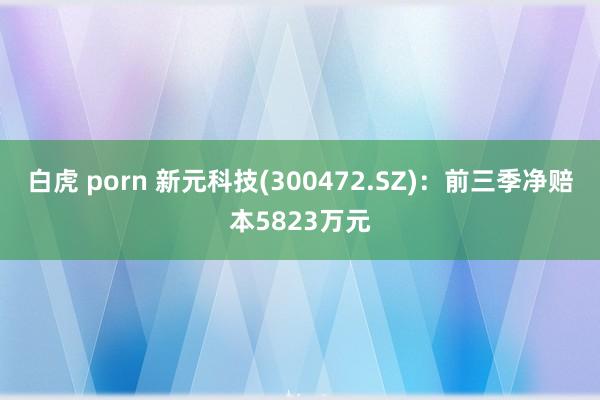 白虎 porn 新元科技(300472.SZ)：前三季净赔本5823万元