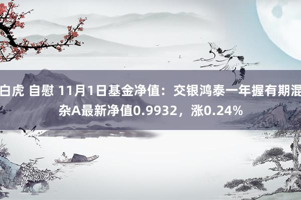 白虎 自慰 11月1日基金净值：交银鸿泰一年握有期混杂A最新净值0.9932，涨0.24%