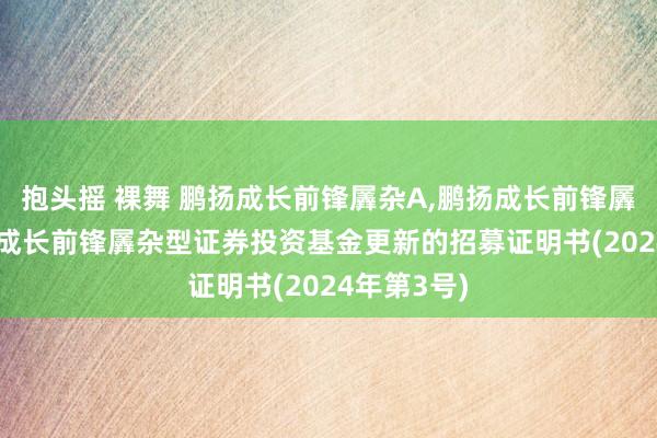 抱头摇 裸舞 鹏扬成长前锋羼杂A，鹏扬成长前锋羼杂C: 鹏扬成长前锋羼杂型证券投资基金更新的招募证明书(2024年第3号)