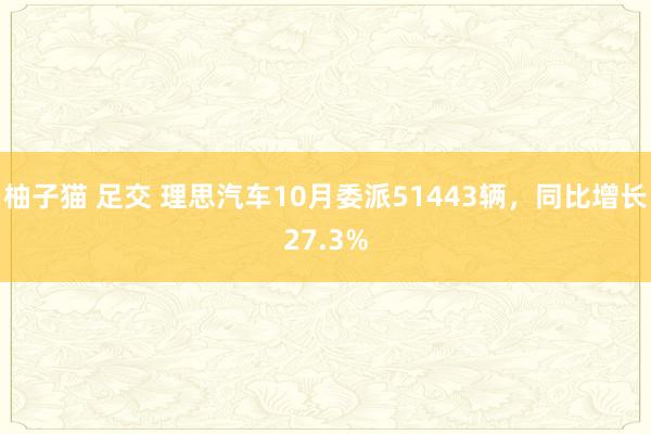 柚子猫 足交 理思汽车10月委派51443辆，同比增长27.3%