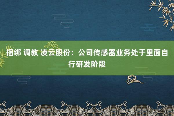 捆绑 调教 凌云股份：公司传感器业务处于里面自行研发阶段