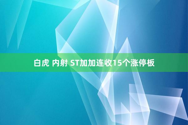 白虎 内射 ST加加连收15个涨停板