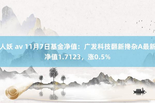 人妖 av 11月7日基金净值：广发科技翻新搀杂A最新净值1.7123，涨0.5%