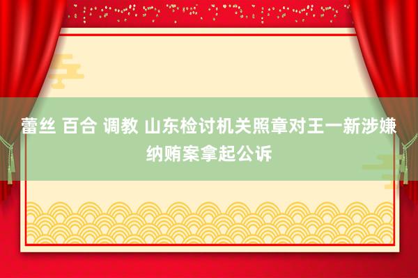 蕾丝 百合 调教 山东检讨机关照章对王一新涉嫌纳贿案拿起公诉