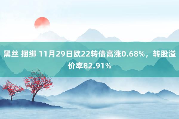 黑丝 捆绑 11月29日欧22转债高涨0.68%，转股溢价率82.91%