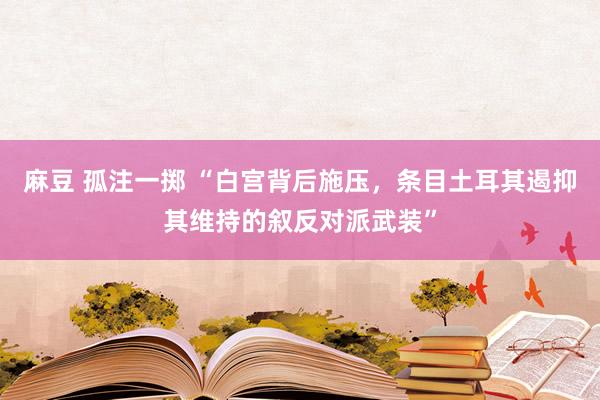 麻豆 孤注一掷 “白宫背后施压，条目土耳其遏抑其维持的叙反对派武装”