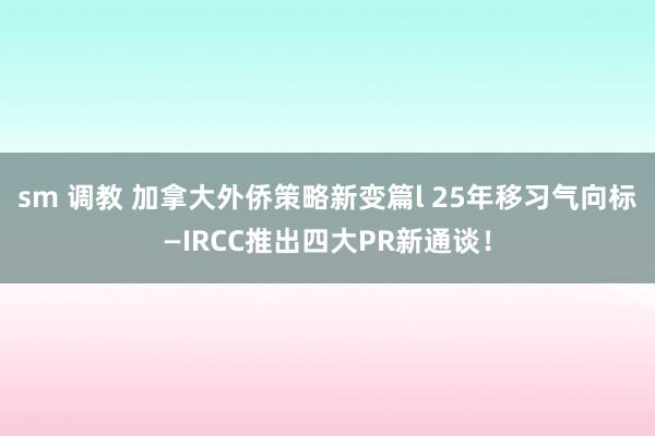 sm 调教 加拿大外侨策略新变篇l 25年移习气向标—IRCC推出四大PR新通谈！