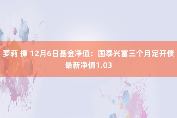 萝莉 操 12月6日基金净值：国泰兴富三个月定开债最新净值1.03