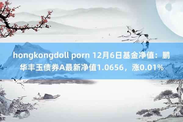 hongkongdoll porn 12月6日基金净值：鹏华丰玉债券A最新净值1.0656，涨0.01%