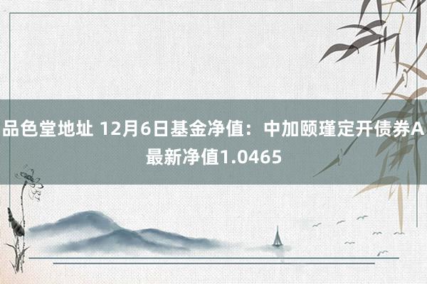 品色堂地址 12月6日基金净值：中加颐瑾定开债券A最新净值1.0465