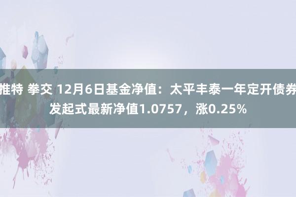 推特 拳交 12月6日基金净值：太平丰泰一年定开债券发起式最新净值1.0757，涨0.25%