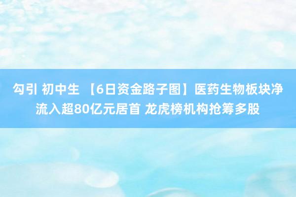 勾引 初中生 【6日资金路子图】医药生物板块净流入超80亿元居首 龙虎榜机构抢筹多股