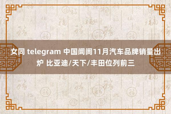 女同 telegram 中国阛阓11月汽车品牌销量出炉 比亚迪/天下/丰田位列前三