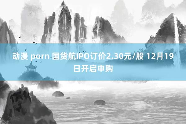 动漫 porn 国货航IPO订价2.30元/股 12月19日开启申购