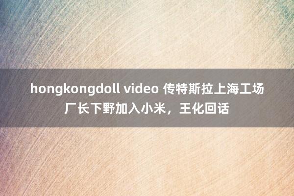 hongkongdoll video 传特斯拉上海工场厂长下野加入小米，王化回话