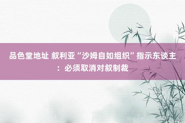 品色堂地址 叙利亚“沙姆自如组织”指示东谈主：必须取消对叙制裁