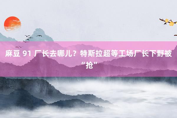 麻豆 91 厂长去哪儿？特斯拉超等工场厂长下野被“抢”