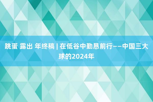 跳蛋 露出 年终稿 | 在低谷中勤恳前行——中国三大球的2024年