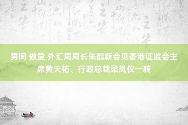 男同 做爱 外汇局局长朱鹤新会见香港证监会主席黄天祐、行政总裁梁凤仪一转