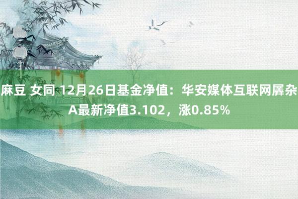 麻豆 女同 12月26日基金净值：华安媒体互联网羼杂A最新净值3.102，涨0.85%