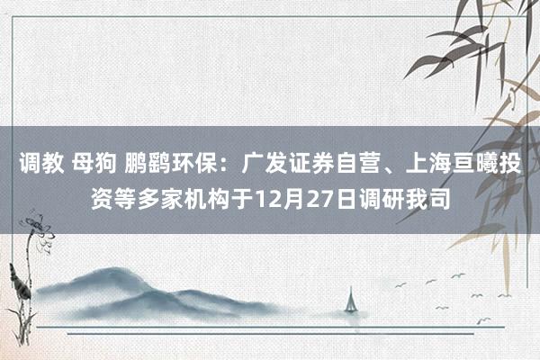 调教 母狗 鹏鹞环保：广发证券自营、上海亘曦投资等多家机构于12月27日调研我司