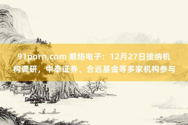 91porn，com 顺络电子：12月27日接纳机构调研，中泰证券、合远基金等多家机构参与