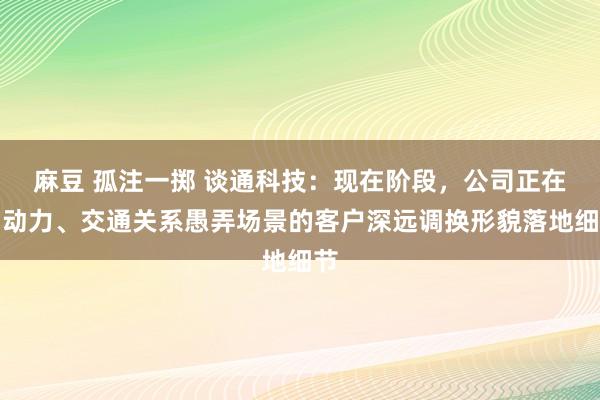 麻豆 孤注一掷 谈通科技：现在阶段，公司正在与动力、交通关系愚弄场景的客户深远调换形貌落地细节