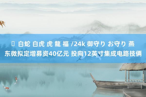 ✨白蛇 白虎 虎 龍 福 /24k 御守り お守り 燕东微拟定增募资40亿元 投向12英寸集成电路技俩