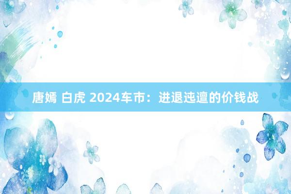 唐嫣 白虎 2024车市：进退迍邅的价钱战