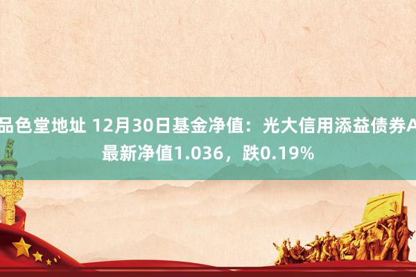 品色堂地址 12月30日基金净值：光大信用添益债券A最新净值1.036，跌0.19%