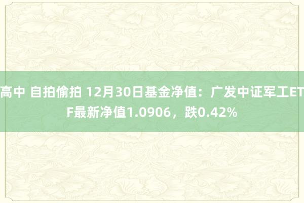 高中 自拍偷拍 12月30日基金净值：广发中证军工ETF最新净值1.0906，跌0.42%