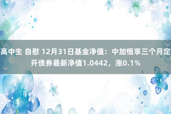 高中生 自慰 12月31日基金净值：中加恒享三个月定开债券最新净值1.0442，涨0.1%