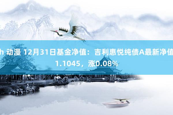 h 动漫 12月31日基金净值：吉利惠悦纯债A最新净值1.1045，涨0.08%