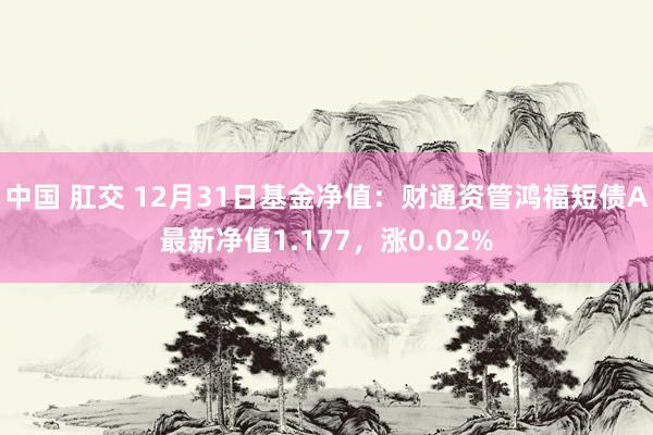 中国 肛交 12月31日基金净值：财通资管鸿福短债A最新净值1.177，涨0.02%