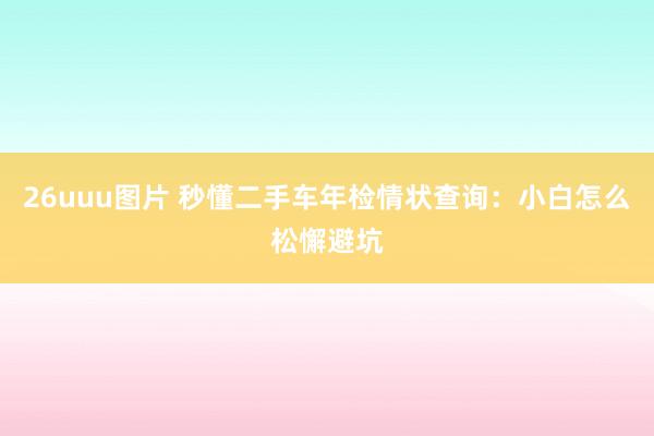 26uuu图片 秒懂二手车年检情状查询：小白怎么松懈避坑