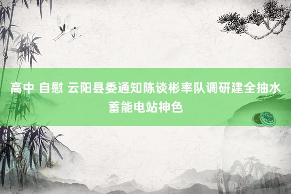 高中 自慰 云阳县委通知陈谈彬率队调研建全抽水蓄能电站神色