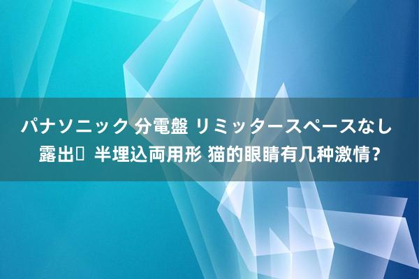 パナソニック 分電盤 リミッタースペースなし 露出・半埋込両用形 猫的眼睛有几种激情？