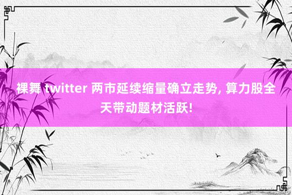 裸舞 twitter 两市延续缩量确立走势， 算力股全天带动题材活跃!