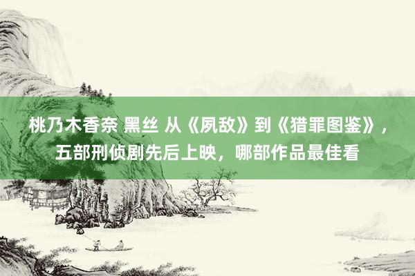 桃乃木香奈 黑丝 从《夙敌》到《猎罪图鉴》，五部刑侦剧先后上映，哪部作品最佳看