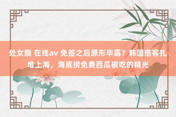 处女膜 在线av 免签之后原形毕露？韩国搭客扎堆上海，海底捞免费西瓜被吃的精光