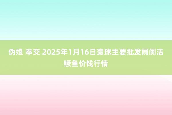 伪娘 拳交 2025年1月16日寰球主要批发阛阓活鳜鱼价钱行情